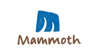 Food Safety Service 1st Mammoth Logo