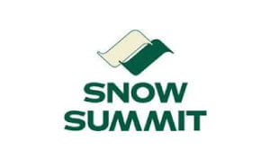 Food Safety Service 1st Snow Logo